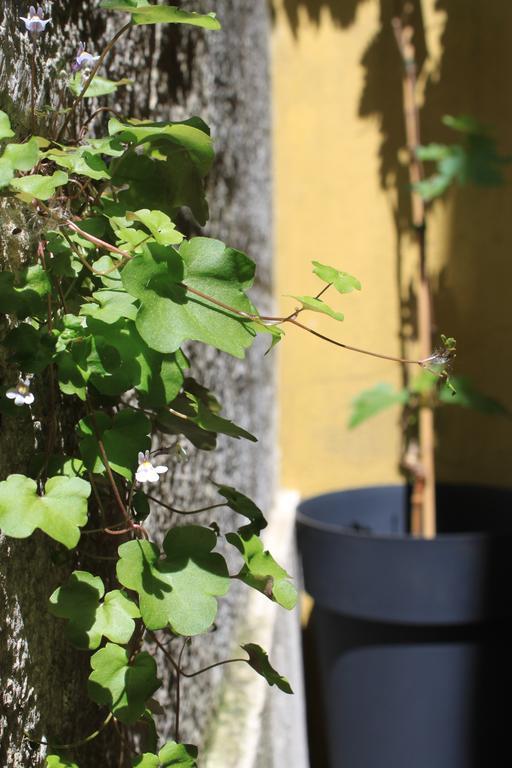 Hostel G&b - And Wines Lisbon